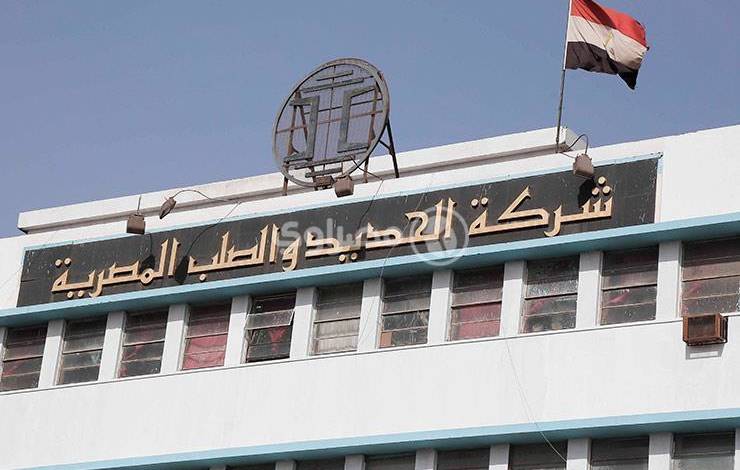 هل تشتري الحكومة أسهم الحديد والصلب من المساهمين بعد التصفية؟