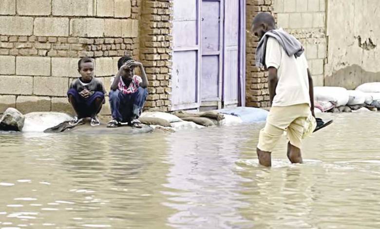 السودان: تعرض 163 منزلًا للانهيار بسبب السيول في «جنوب دارفور»