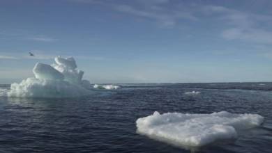 Photo of دراسة تحذر من «جليد يوم القيامة».. خطر مقبل ينذر بكارثة عالمية