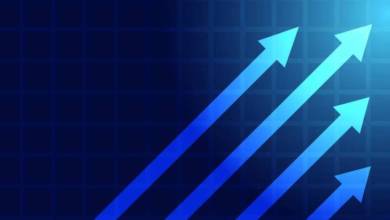 Photo of زيادة الرسوم على الوافدين