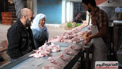 Photo of منتجي الدواجن: توجيهات الرئيس السيسي لن تسمح بحدوث أزمات