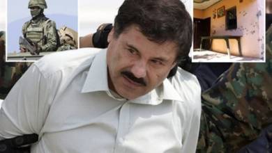 Photo of كواليس مثيرة القبض على نجل إل تشابو أسطورة الإجرام بالمكسيك