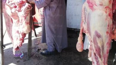 Photo of أسعار اللحوم اليوم في الأسواق والمنافذ الحكومية