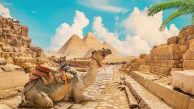 Photo of أسعار الأماكن السياحية في القاهرة.. فسحة مبهجة و«على قد الإيد»