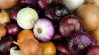Photo of تعرف على حكم أكل البصل واستعمال البخور يوم الجمعة