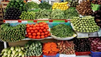 Photo of أسعار الخضروات والفاكهة اليوم 3-6-2025 في مصر