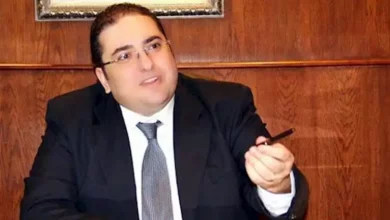 Photo of شعبة المستوردين: تراجع التضخم في نوفمبر مدفوع بانخفاض أسعار الغذاء