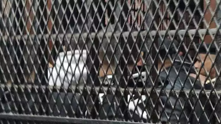 قتلت جوزها بسبب علاقة مع أخوه.. قرار من الجنايات في جريمة 