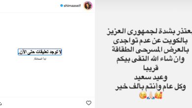 Photo of شيماء سيف تعتذر عن عدم المشاركة في مسرحية “الطقاقة” بالكويت