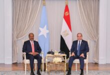 Photo of رئيس الصومال: نتطلع لاستقبال الرئيس السيسي في بلدنا قريبا
