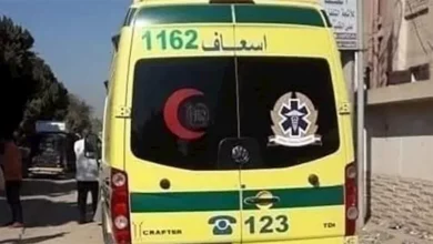 Photo of مصرع فتاة وإصابة 7 آخرين في حادث تصادم مروع بأسيوط