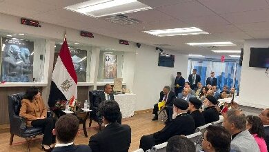 Photo of وزير الخارجية: تسهيلات جديدة في التحويلات البنكية والسكن والتعليم للمصريين بالخارج