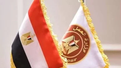 Photo of سكن وتأمين وهاتف وسيارة.. فرص عمل بالسعودية للشباب المصري