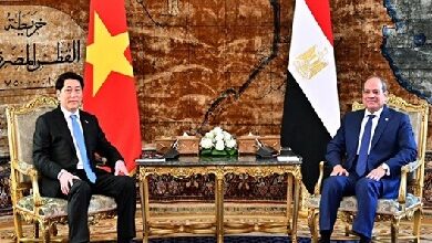 Photo of حماة الوطن: استقبال السيسي لرئيس فيتنام يعكس مكانة مصر الدولية