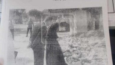 Photo of المبيد الحشري داخل 4 أرغفة.. كواليس تمثيل «هاجر» جريمة تسميم أطفال ديرمواس في المعاينة التصويرية