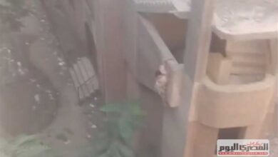 Photo of «بنتضرب وبنتكف».. القصة الكاملة لواقعة احتجاز الفتيات باسم علاج الإدمان في مصحة «وهمية» بالجيزة