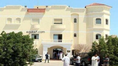 Photo of القنصلية المصرية بالكويت: تجديد رخص القيادة الشخصية أو رخص السيارات متاح على موقع «الداخلية المصرية»