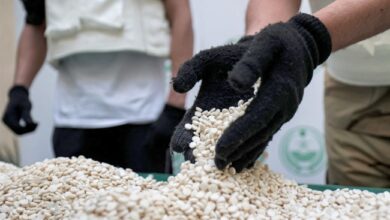 Photo of الكويت | «قانون المخدرات الجديد»… توحيد القوانين في نص واحد