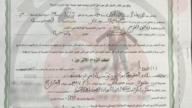 Photo of 8 مقاطع من فيديو رحمة محسن تثير قلقها.. وطليقها يرد والأمن المصري يسابق الزمن