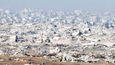 Photo of الأمم المتحدة: 87 % من الأراضي الزراعية في غزة تضررت بسبب العدوان الإسرائيلي