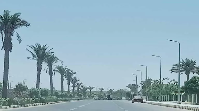غير ممطرة وتقتصر على الإسكندرية.. الأرصاد تعلن بدء نوة الرياح الصليبي