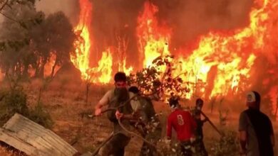 Photo of حرائق غابات الجزائر.. النيران تحاصر 11 ولاية ونداء عاجل من السلطات (فيديو)