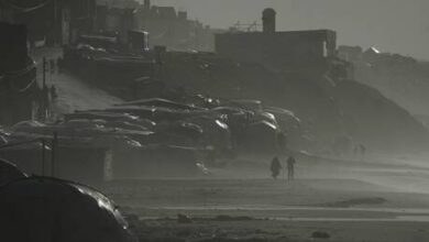 Photo of مكتب غزة الحكومي: وفاة 21 فلسطينيا بسبب البرد في مخيمات النزوح القسري منذ بداية الحرب على القطاع