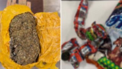 Photo of «الجمارك» تُحبط محاولتي تهريب مخدرات من الهند وبنين عبر المطار