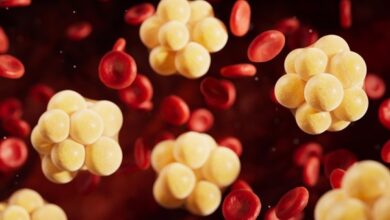Photo of دواء جديد يخفض 38.5 في المئة من الدهون الثلاثية الخطرة