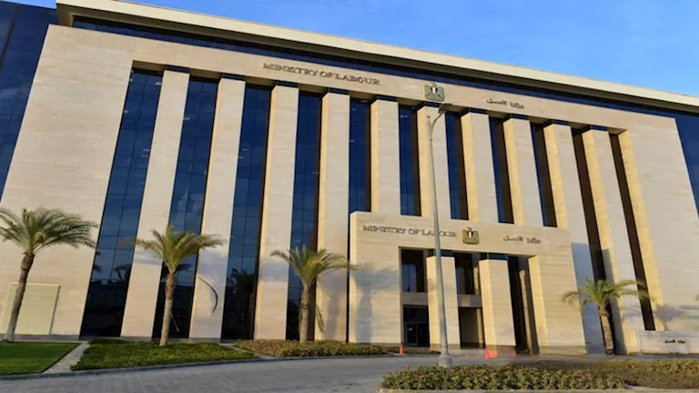 منحة العمالة غير المنتظمة.. تحذير مهم من وزارة العمل